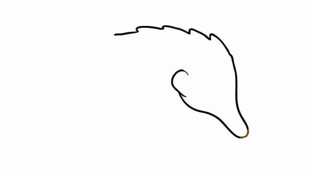 穿山甲簡(jiǎn)筆畫彩色可愛(ài),穿山甲怎么畫簡(jiǎn)單又漂亮