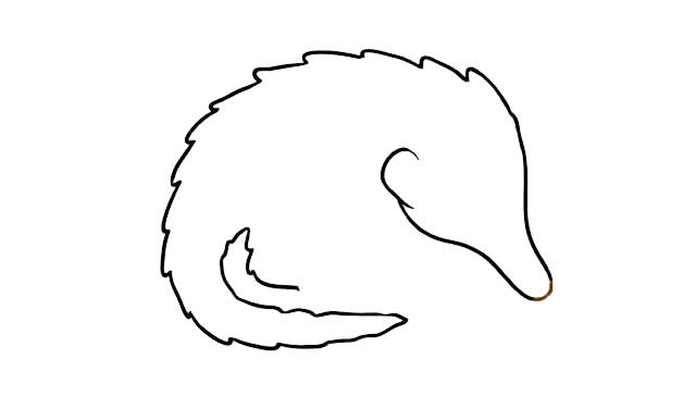 穿山甲簡(jiǎn)筆畫彩色可愛(ài),穿山甲怎么畫簡(jiǎn)單又漂亮