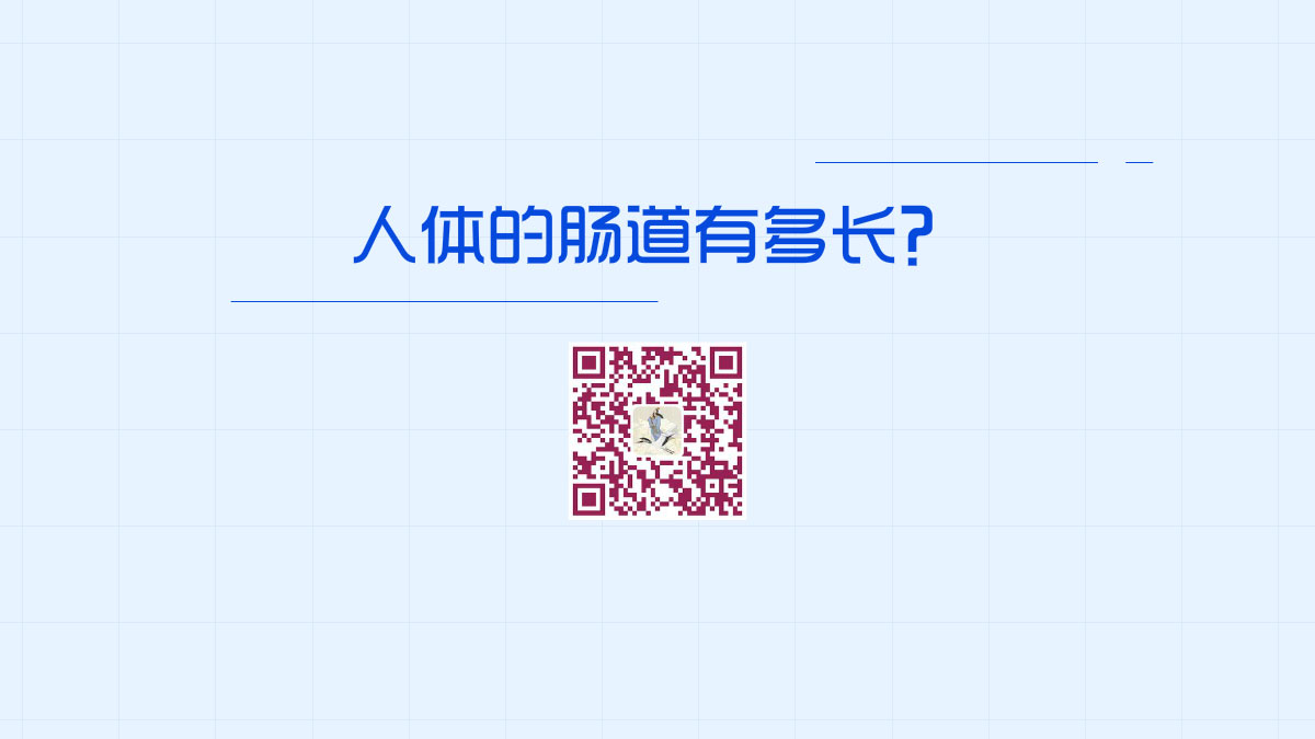 人體的腸道有多長1200.jpg 人體的腸道有多長1200.jpg