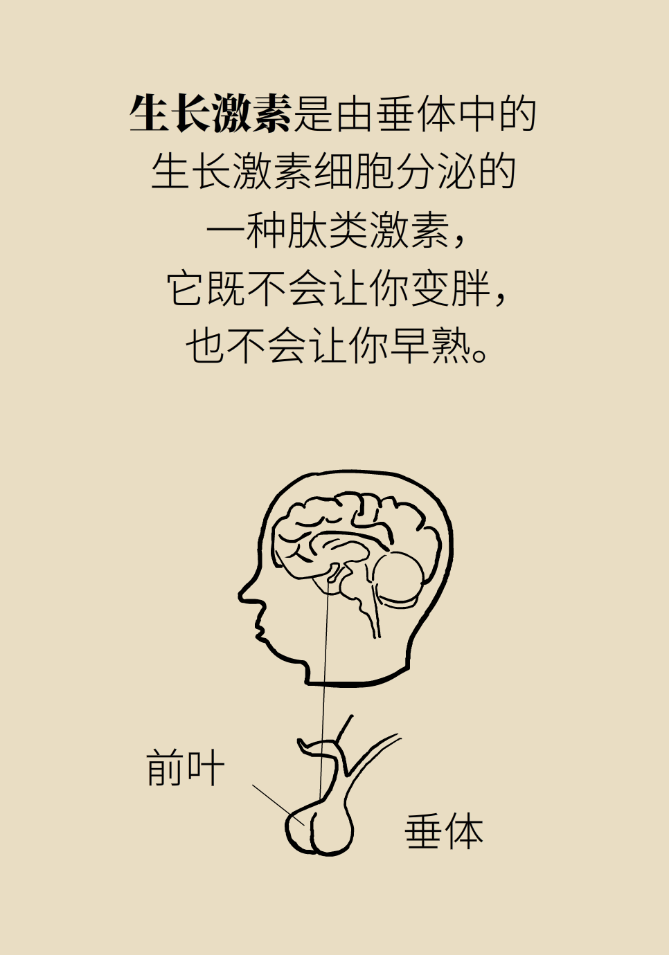 身高醫(yī)學(xué)知識(shí)科普動(dòng)畫(huà)制作