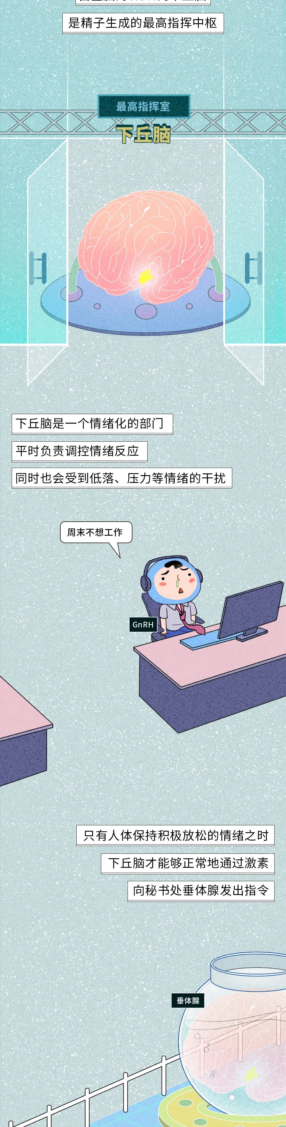 生殖醫(yī)學(xué)知識科普動漫