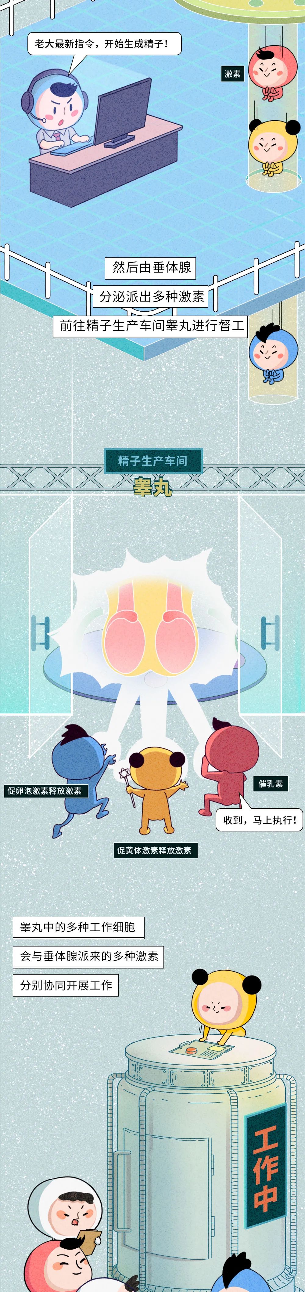 生殖醫(yī)學(xué)知識科普動漫