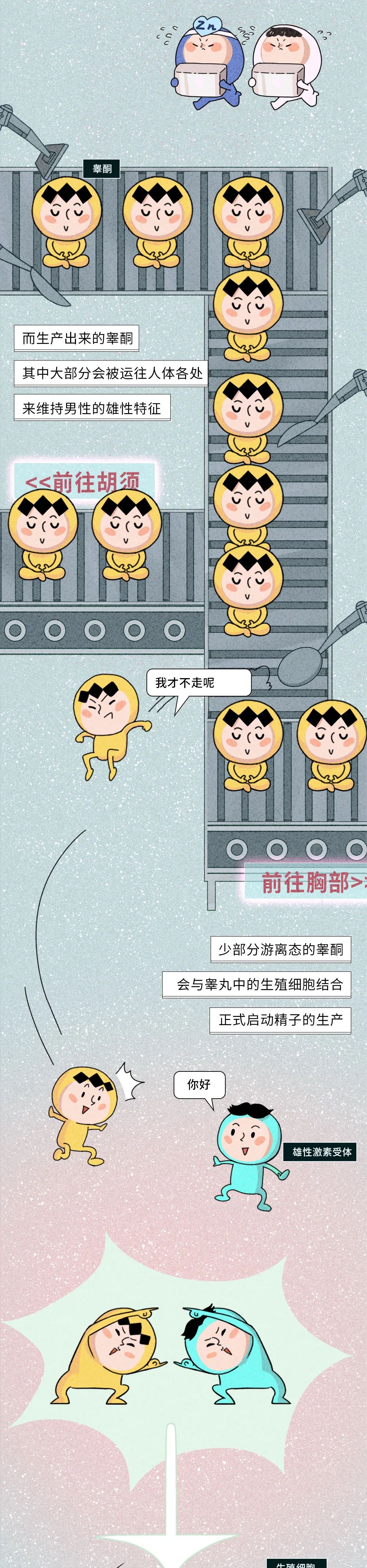 生殖醫(yī)學(xué)知識科普動漫