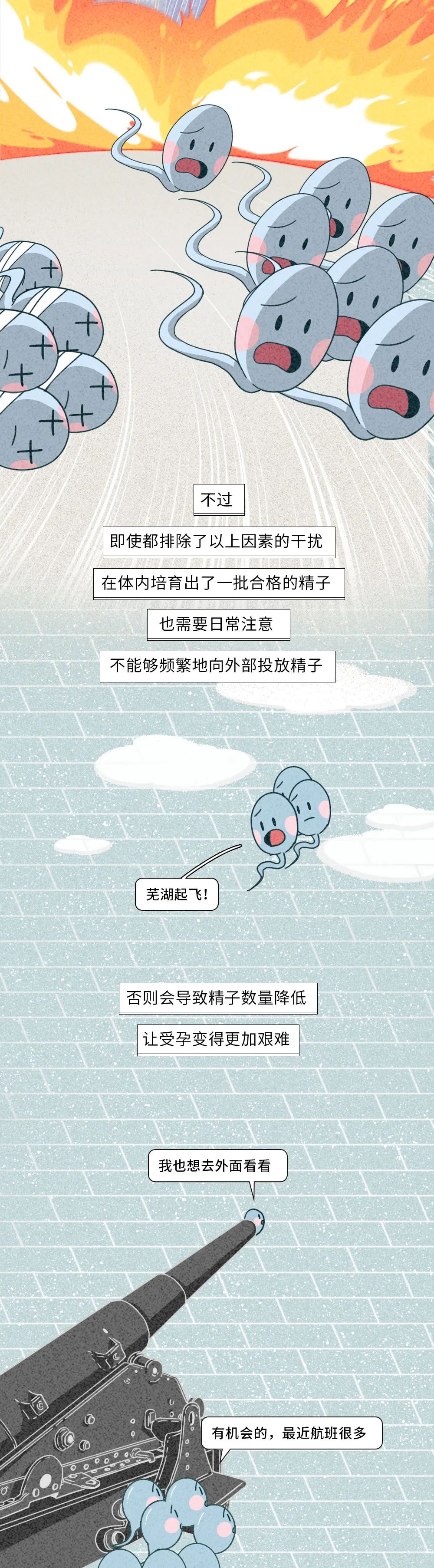 生殖醫(yī)學(xué)知識科普動漫