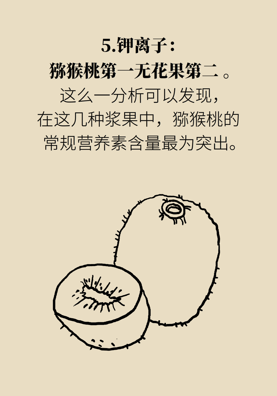 水果動(dòng)畫片