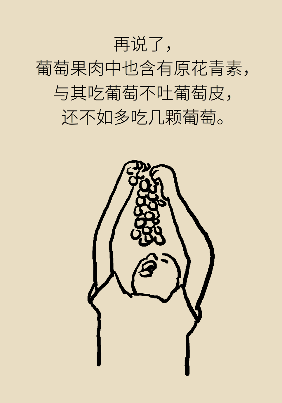 水果動(dòng)畫片