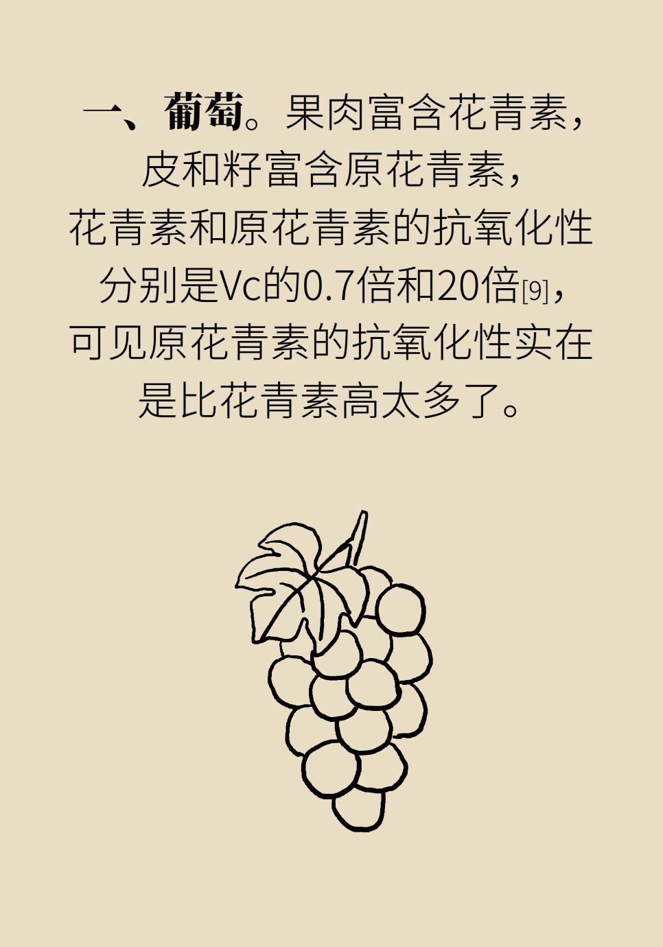 水果動(dòng)畫片