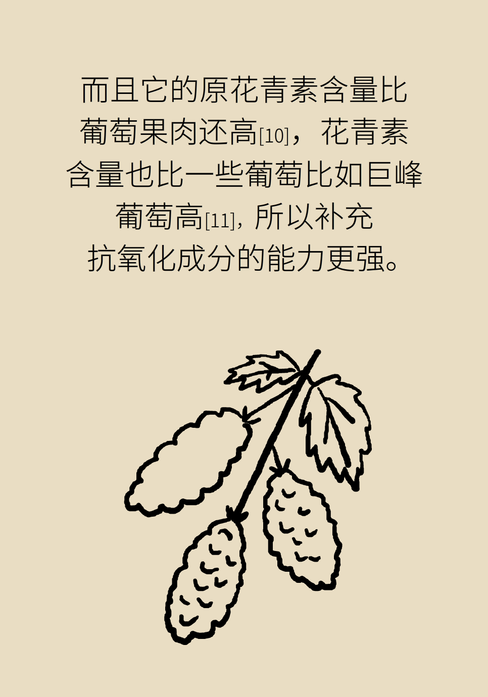 水果動(dòng)畫片