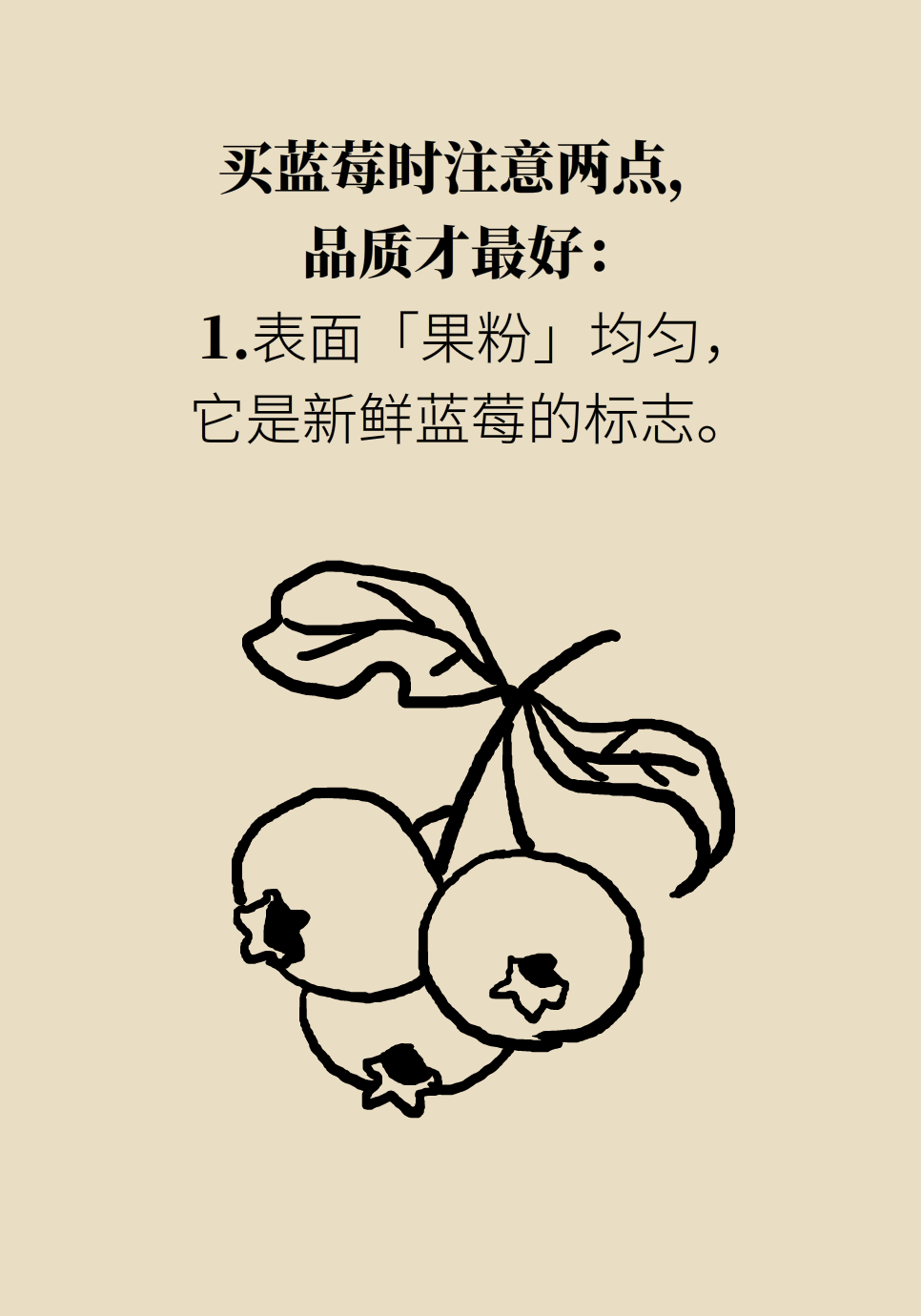 水果動(dòng)畫片