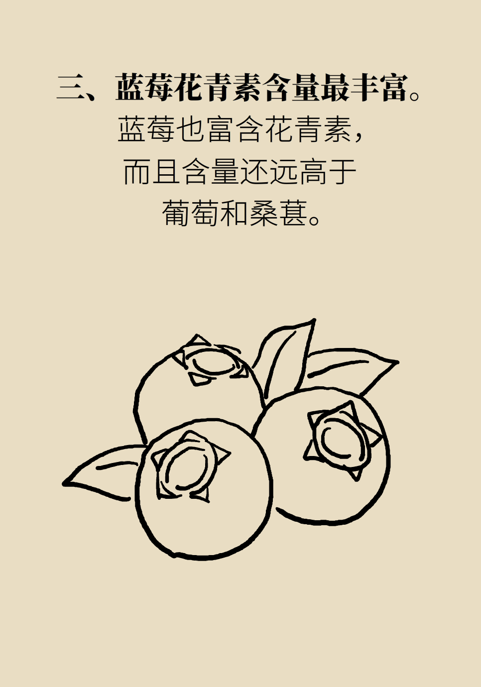 水果動(dòng)畫片