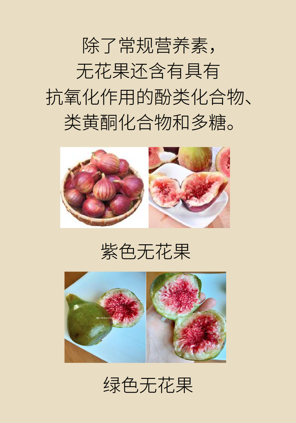 水果動(dòng)畫片