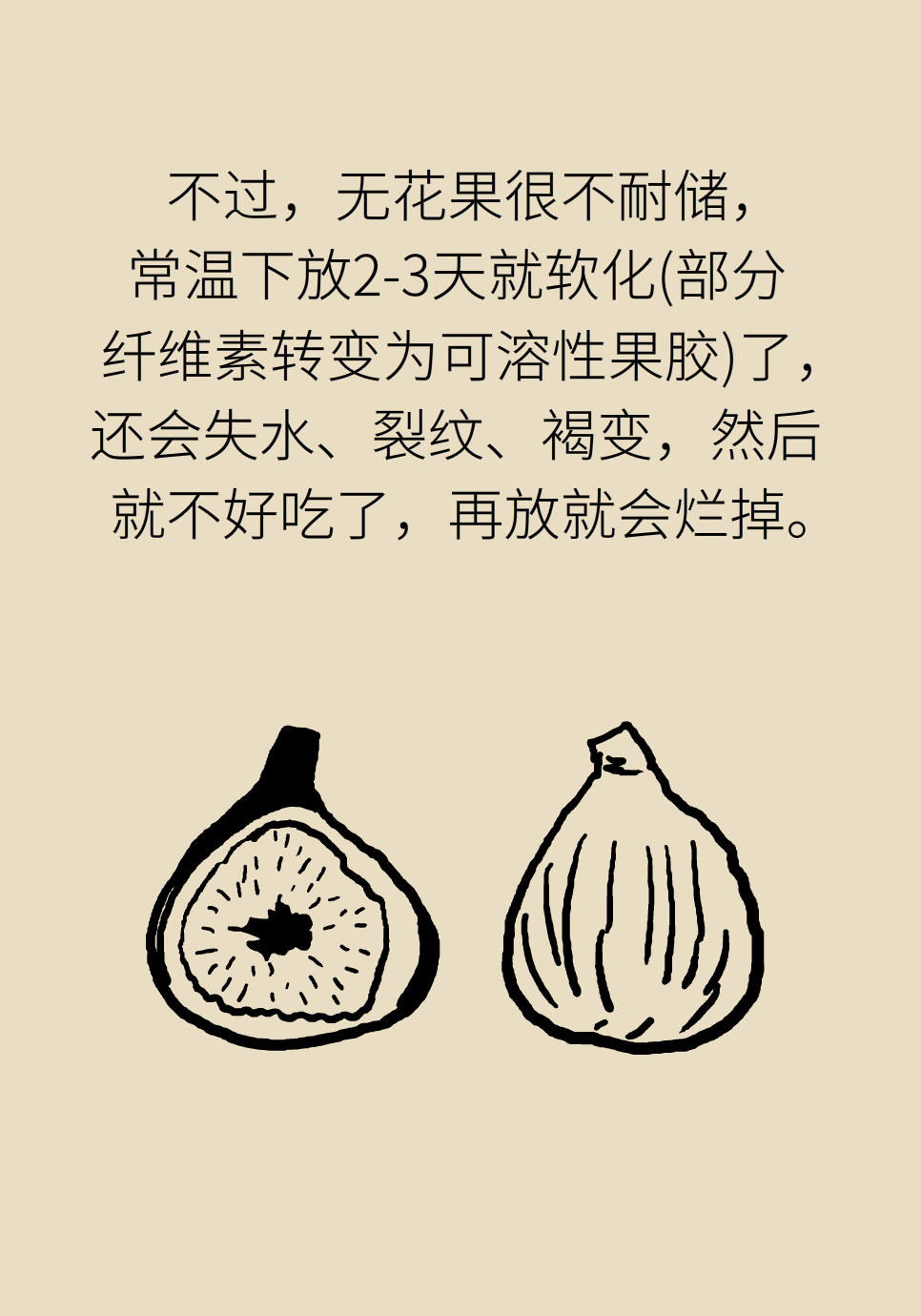 水果動(dòng)畫片
