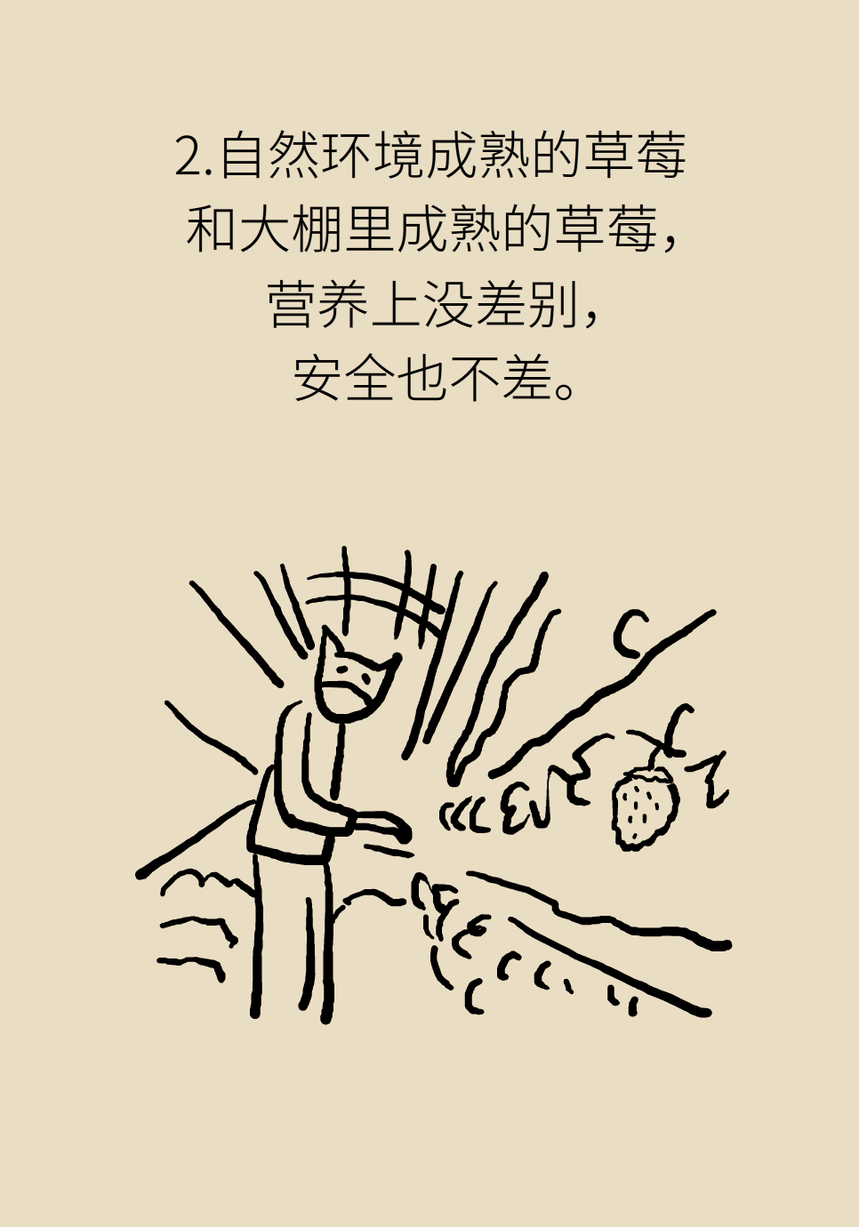 水果動(dòng)畫片