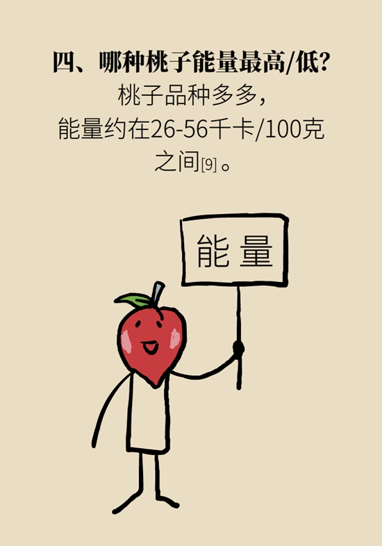 桃子小知識