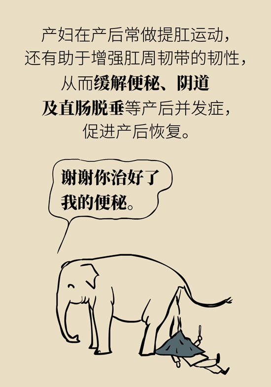 怎么做可以預(yù)防痔瘡呢？按摩前列腺、鍛煉盆底肌