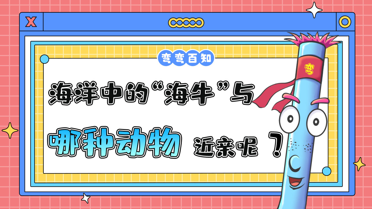 海洋中的“海?！迸c哪種動(dòng)物是近親呢？.jpg