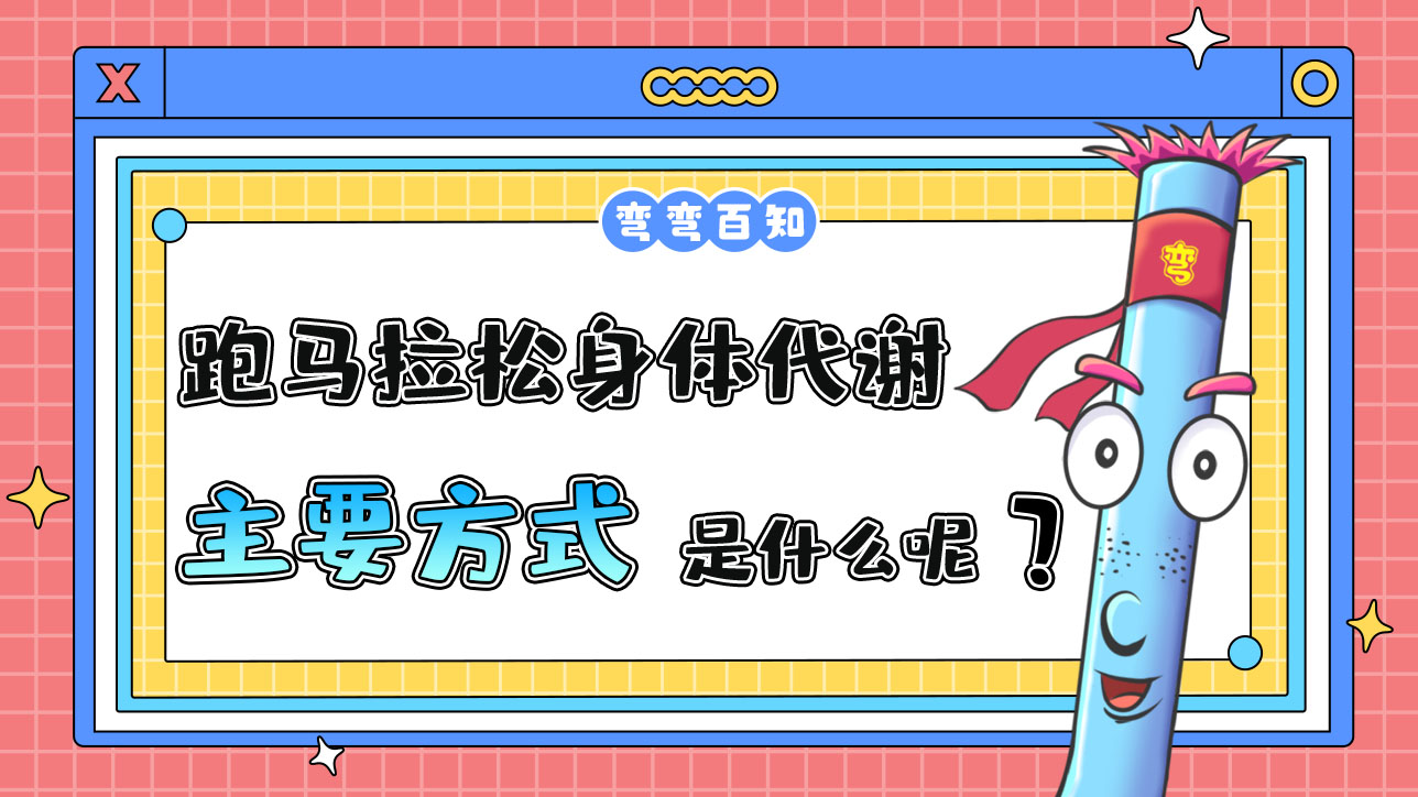 跑馬拉松身體代謝的主要方式是什么呢？.jpg