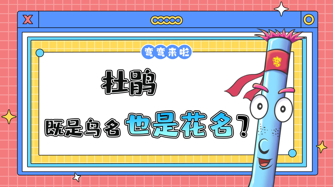 杜鵑既是鳥名也是花名？.jpg