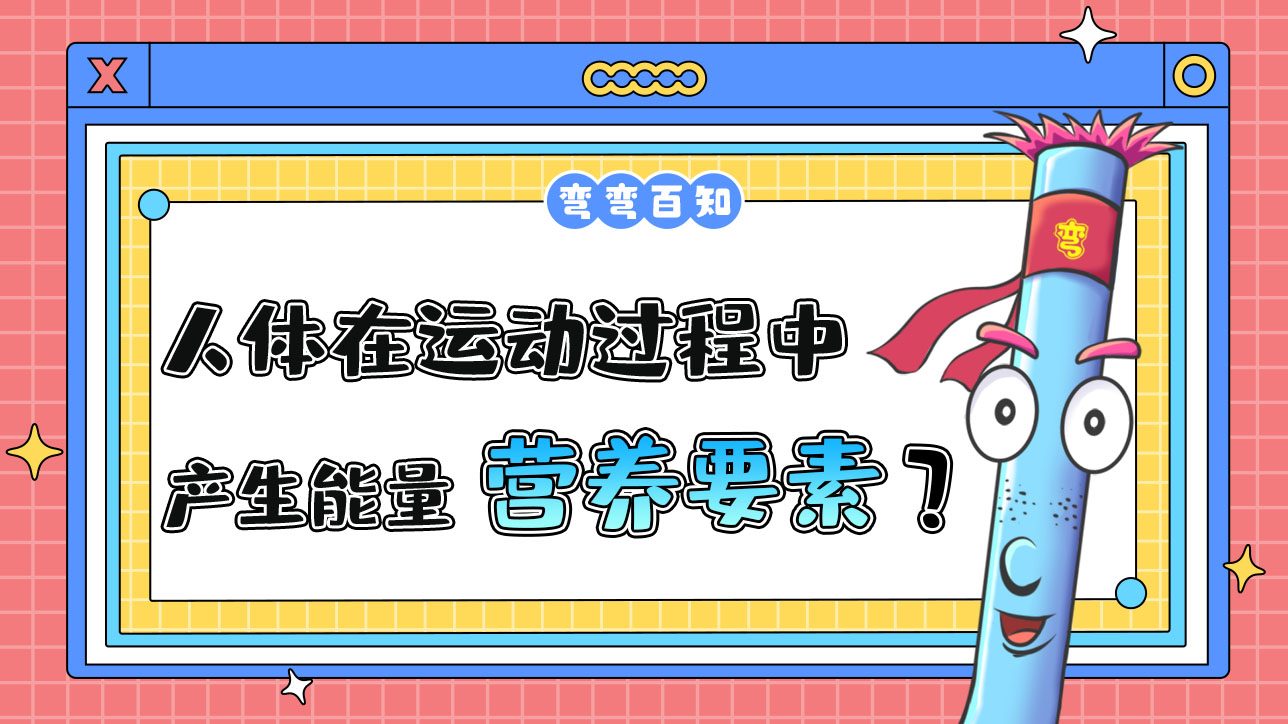 人體在運(yùn)動(dòng)過(guò)程中產(chǎn)生能量的營(yíng)養(yǎng)要素有幾種？.jpg