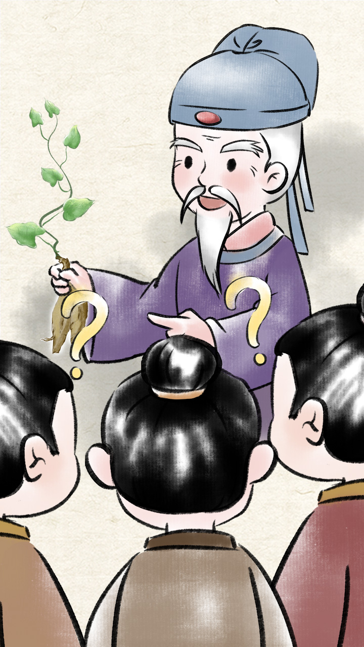 《遍問(wèn)眾人，沒(méi)有一人能夠認(rèn)得這是什么植物！》線稿上色.jpg