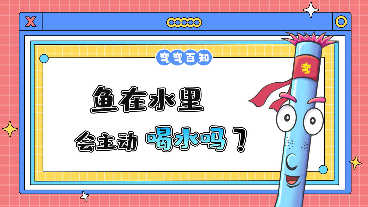 魚在水里會主動喝水嗎？.jpg