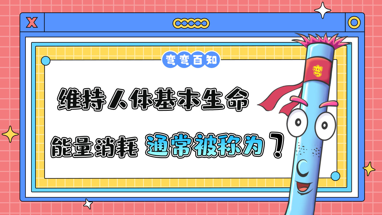 維持人體基本生命活動的能量消耗，通常被稱為？.jpg