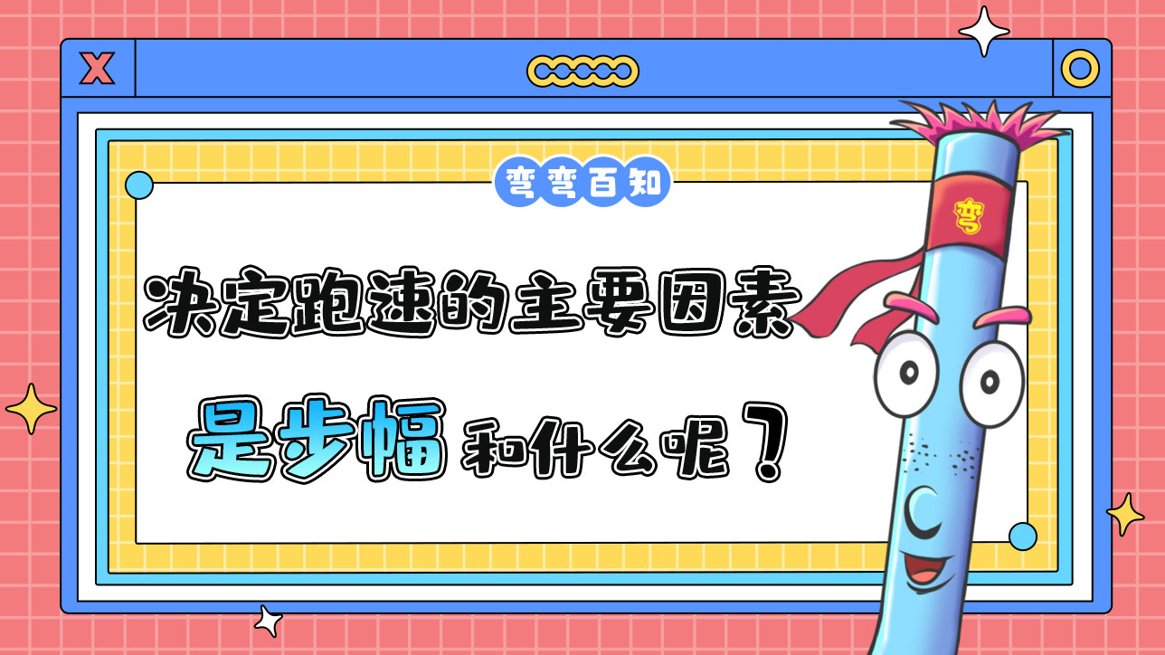 決定跑速的主要因素是步幅和什么？.jpg