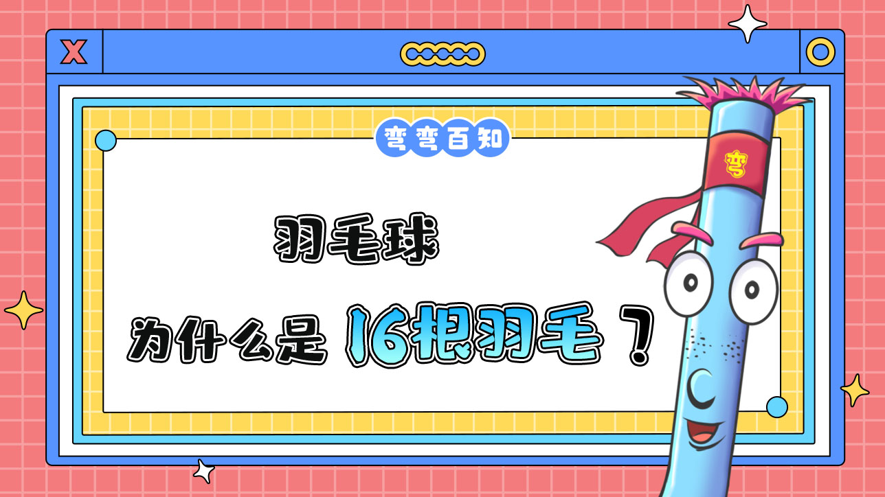 為什么羽毛球是16根羽毛？.jpg