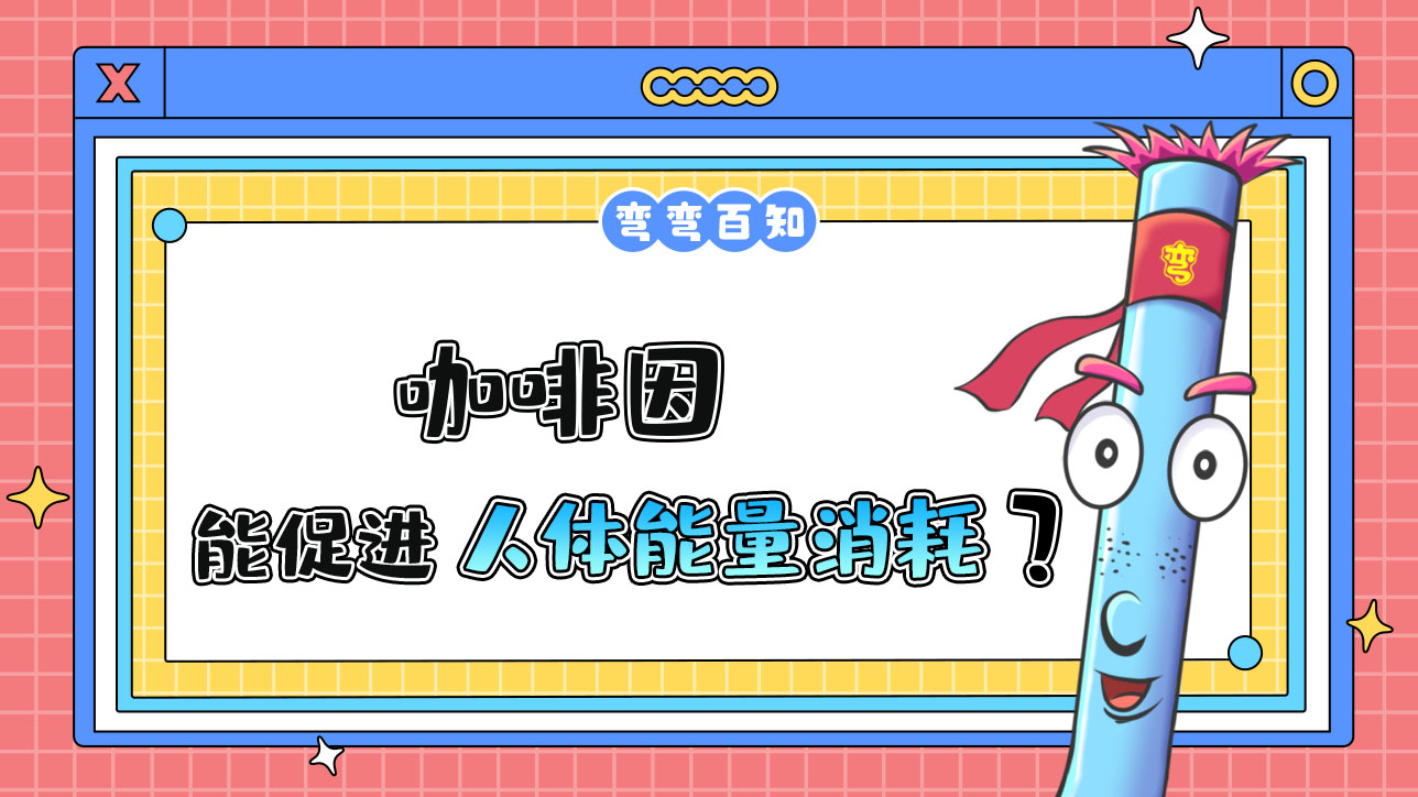咖啡因能促進(jìn)人體的能量消耗嗎？.jpg