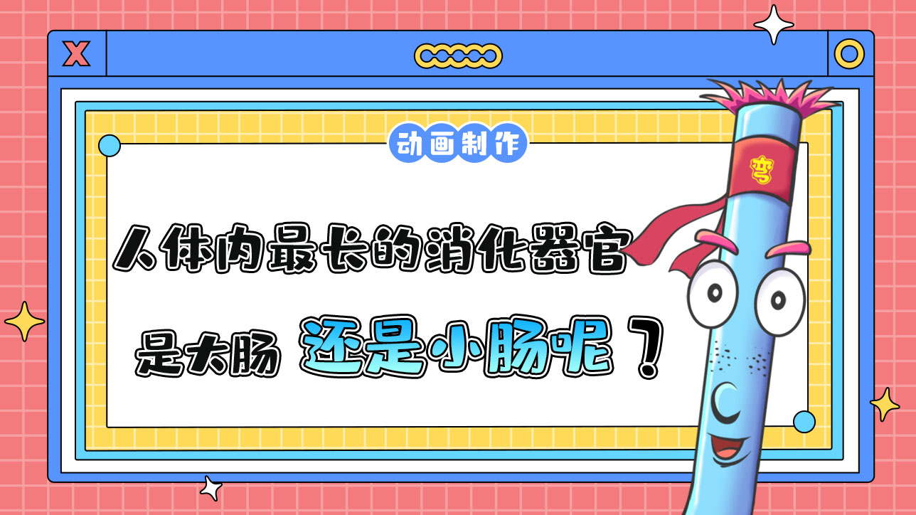 人體內(nèi)最長的消化器官是大腸還是小腸？.jpg