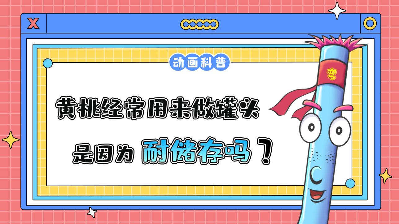 黃桃經(jīng)常用來做罐頭，是因為耐儲存嗎？.jpg