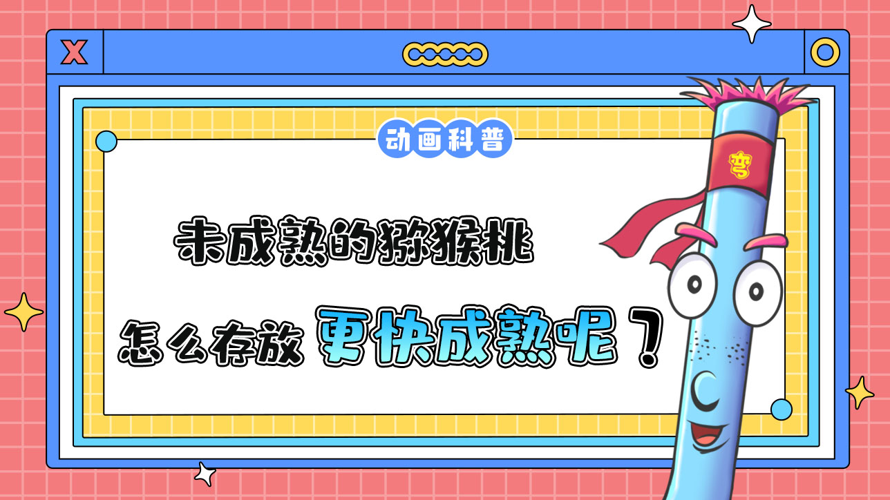 未成熟的獼猴桃怎么存放能更快成熟呢？.jpg