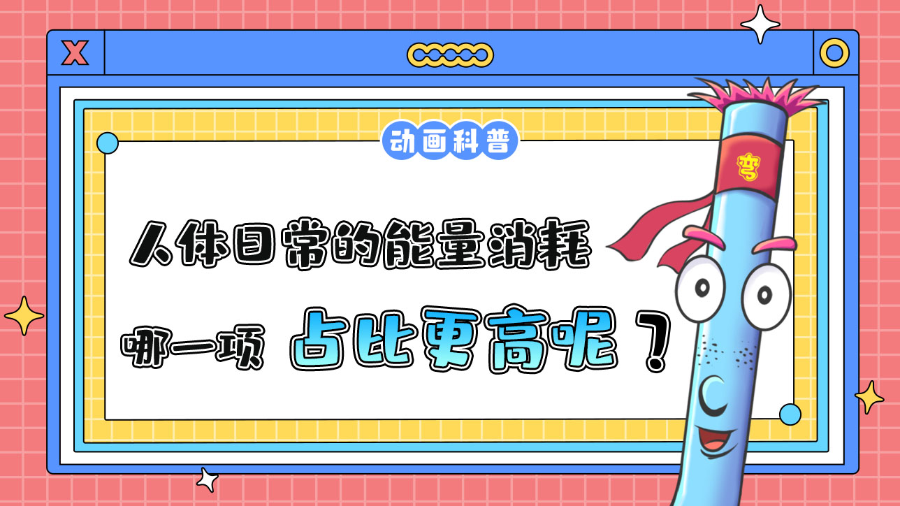 在人體日常的能量消耗中通常哪一項(xiàng)占比更高呢？.jpg