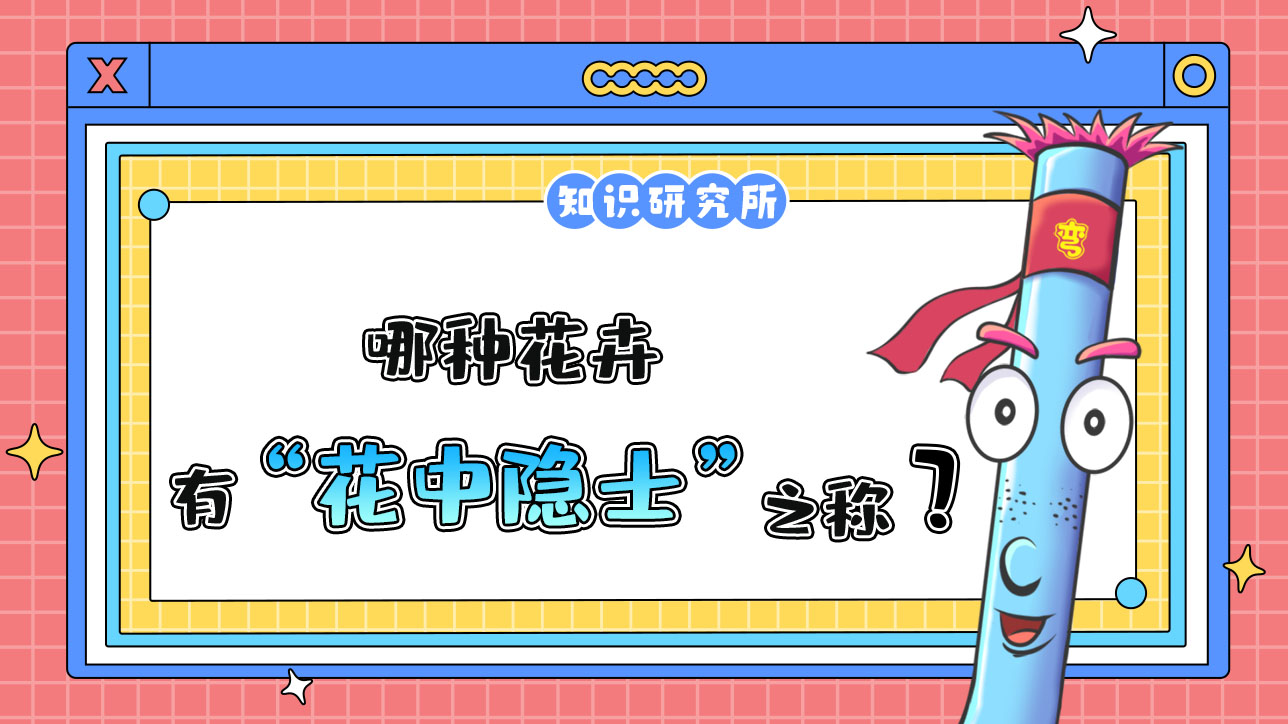 哪種花卉有“花中隱士”之稱？.jpg