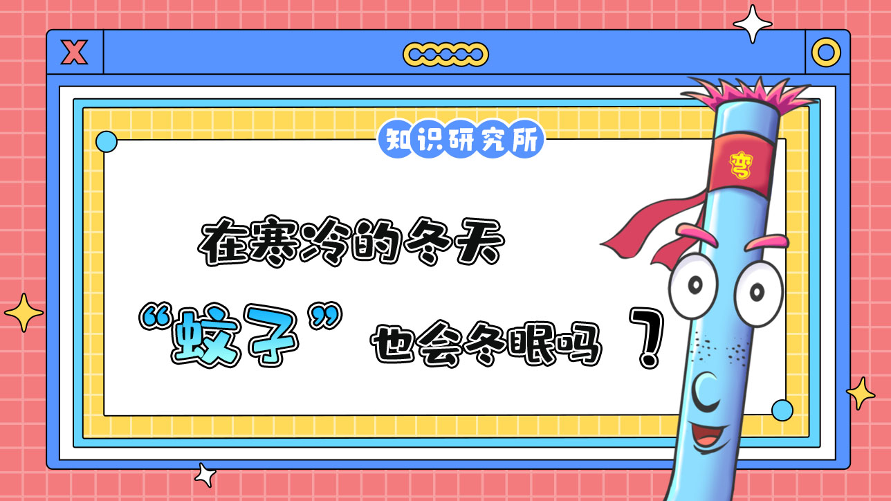 在寒冷的冬天，蚊子也會(huì)冬眠嗎？.jpg