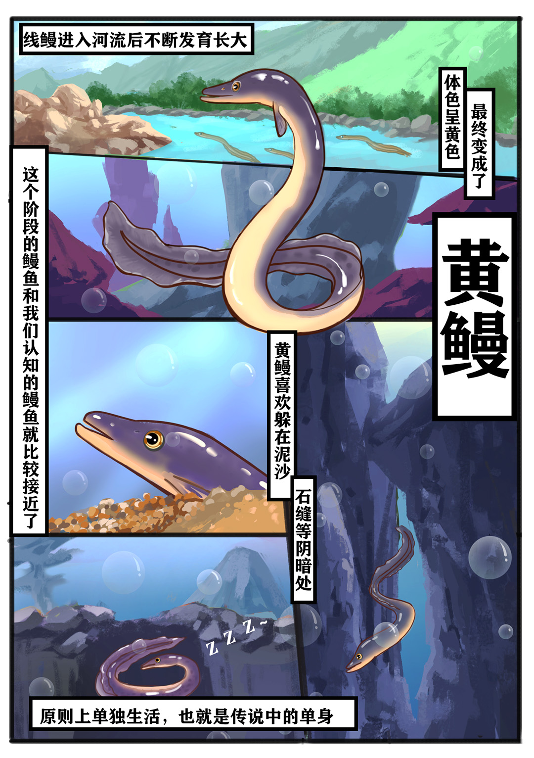 如何制作簡(jiǎn)單動(dòng)畫(huà).jpg